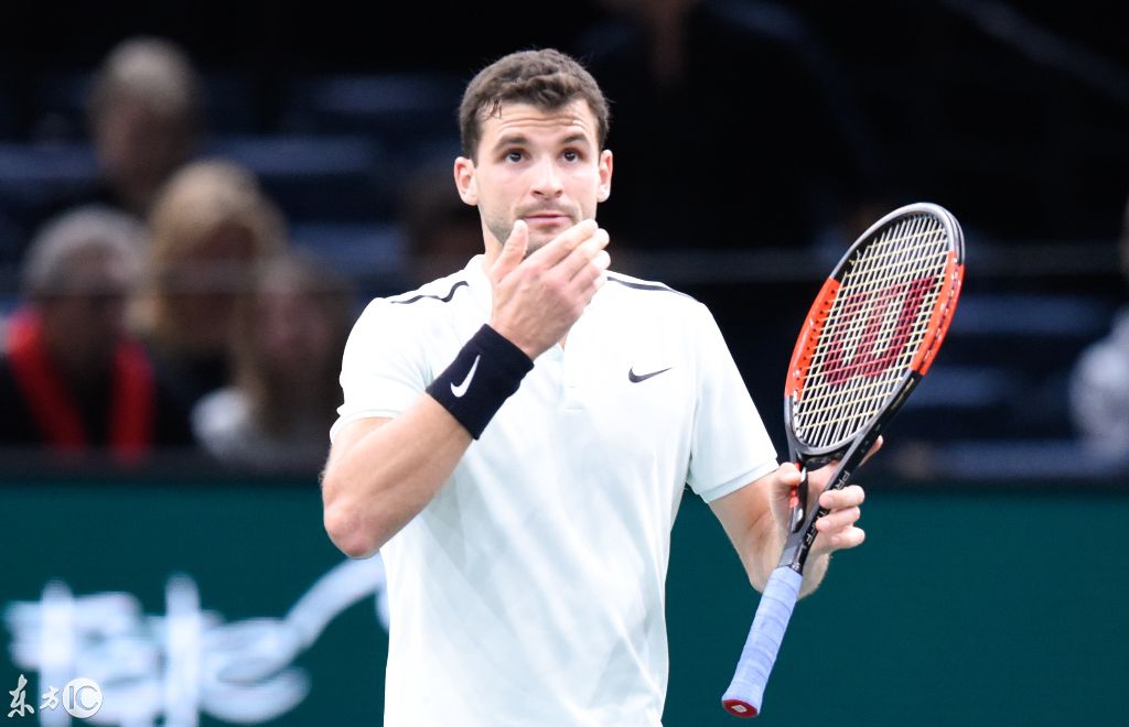 鲨的行动节 鲨的行动节