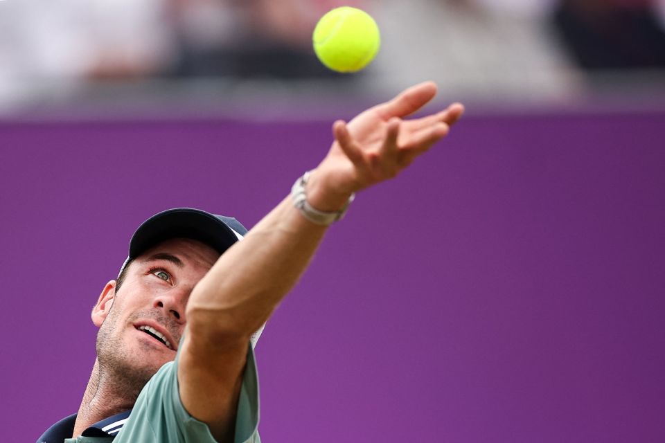 在积极地帮 在积极地帮