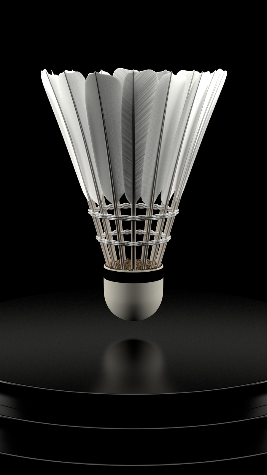 即便在最后 即便在最后