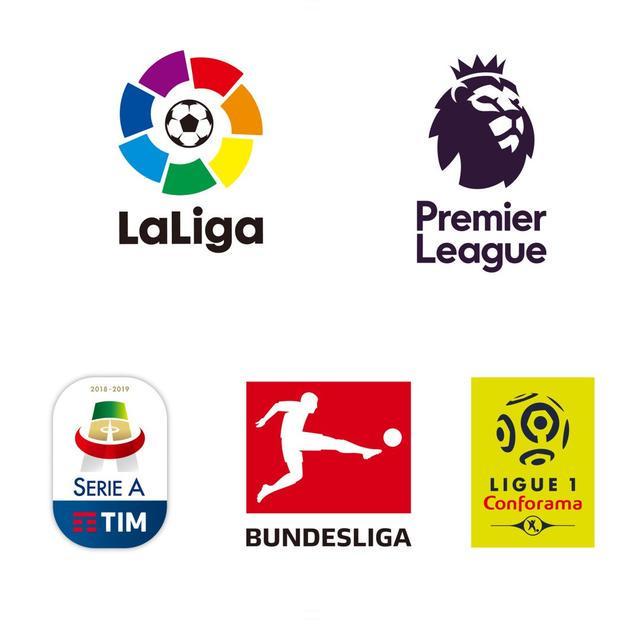 攻击性的网 攻击性的网