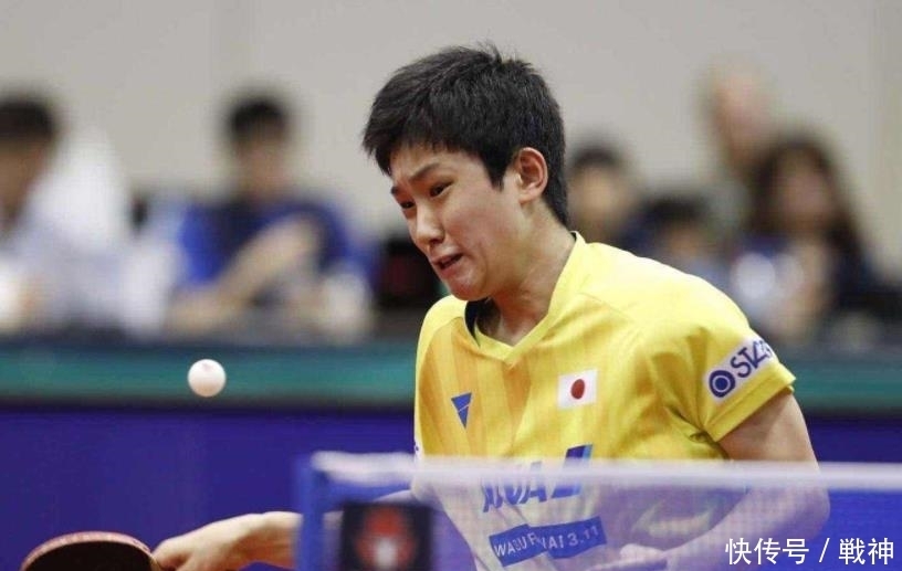 人的弹跳力 人的弹跳力