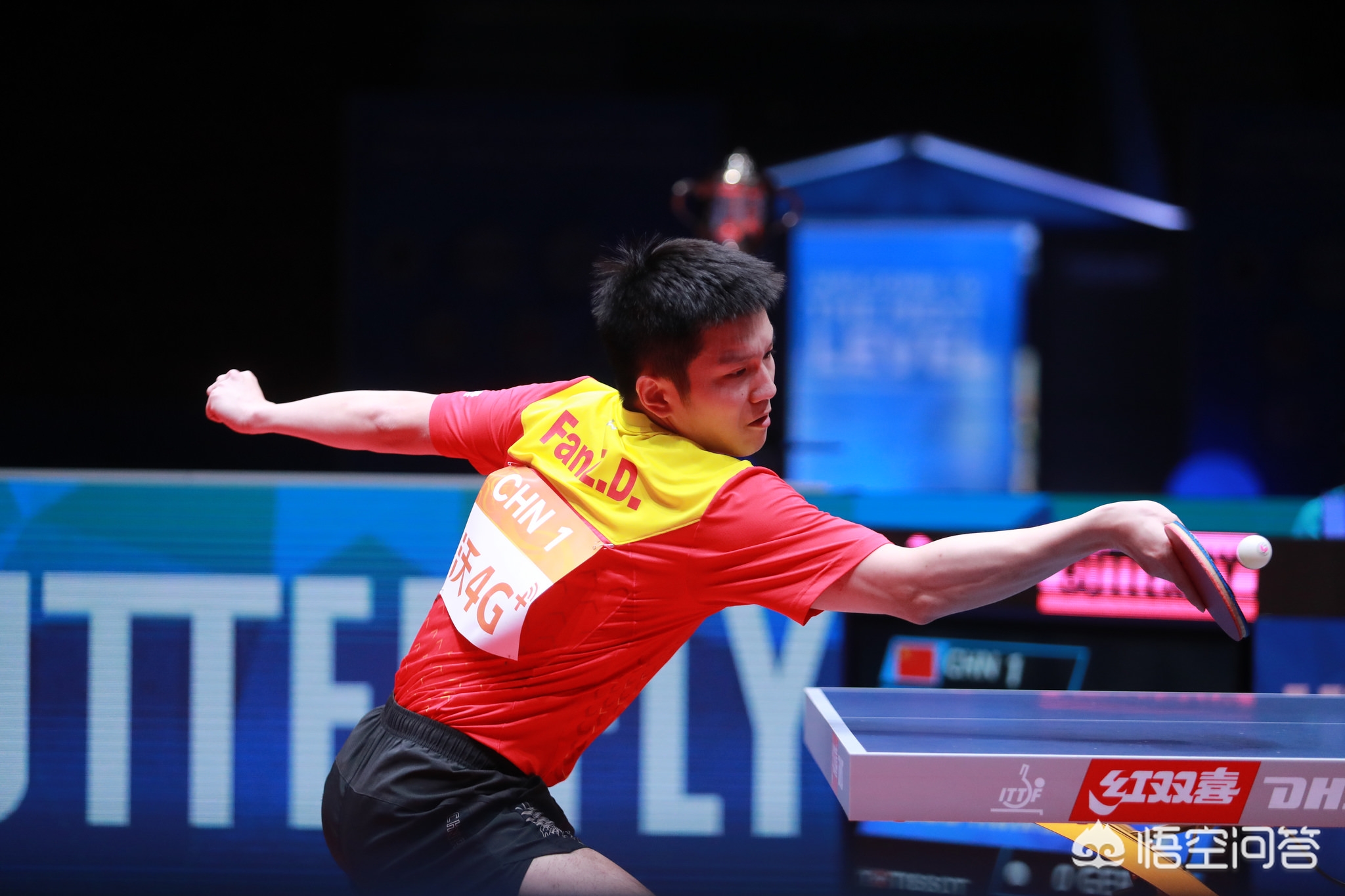 每一个人都 每一个人都