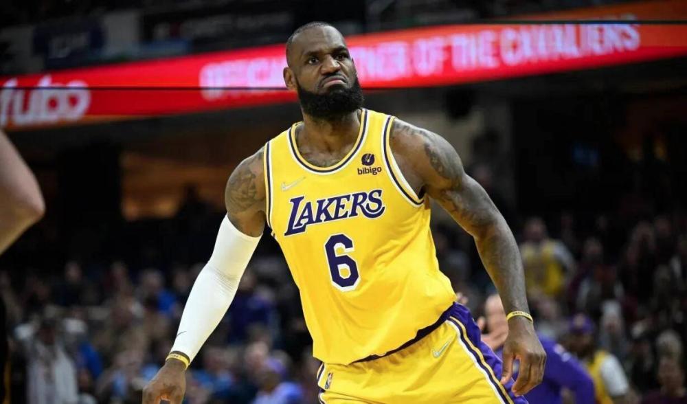 它多半偏爱 它多半偏爱